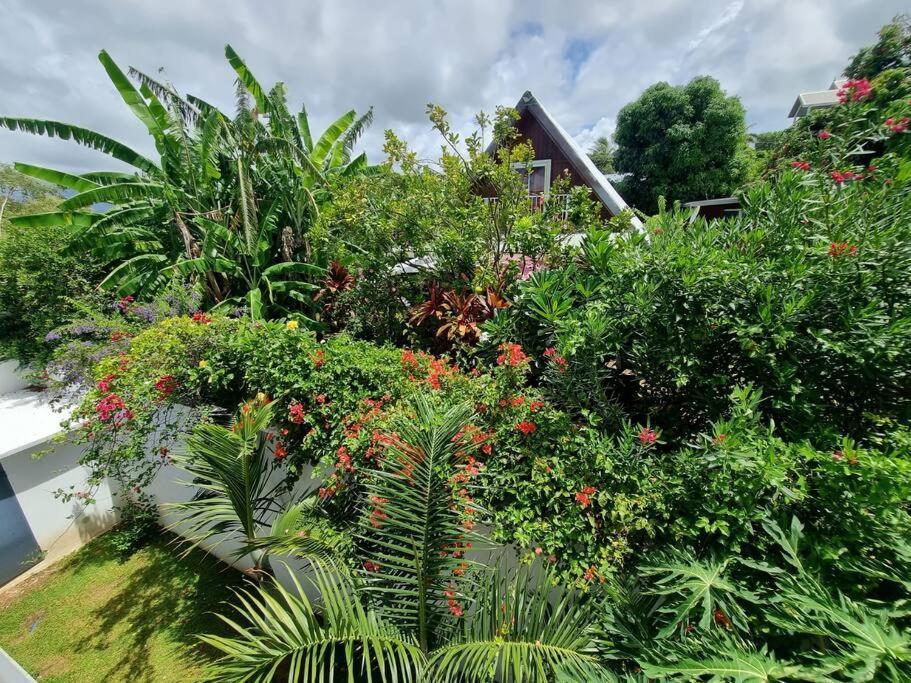 Villa Fleur De Coco - 8P. - Piscine Privee - Haut Standing Saint Pierre Ngoại thất bức ảnh