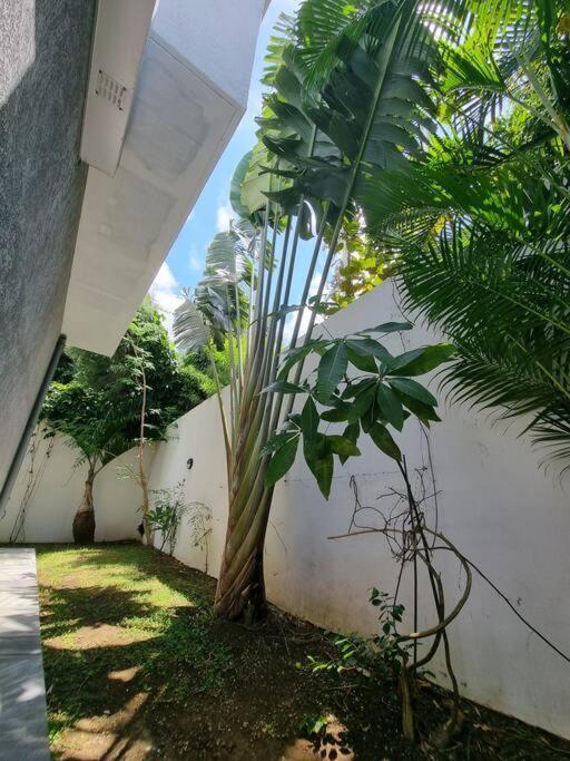 Villa Fleur De Coco - 8P. - Piscine Privee - Haut Standing Saint Pierre Ngoại thất bức ảnh